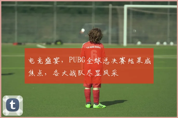电竞盛宴，PUBG全球总决赛结果成焦点，各大战队尽显风采