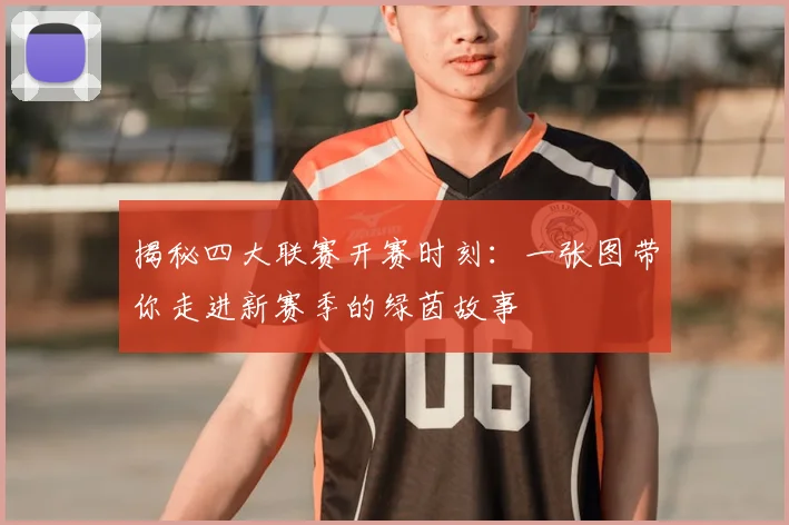 揭秘四大联赛开赛时刻:一张图带你走进新赛季的绿茵故事